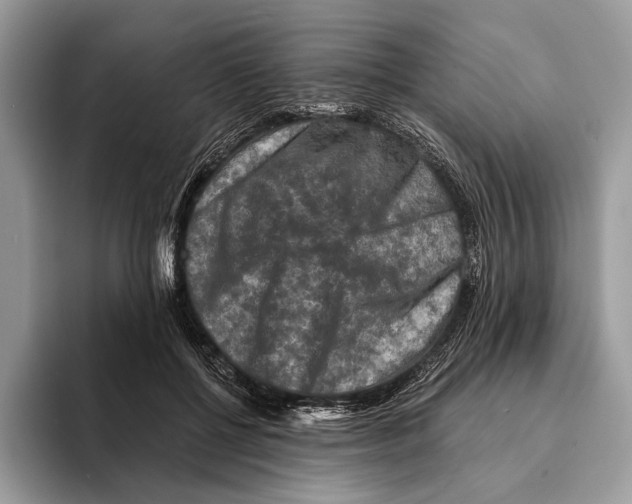 X0000095530552200801111415