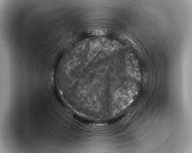 X0000095530553200801111415