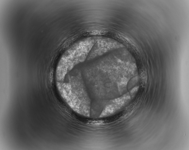 X0000095530554200801111415