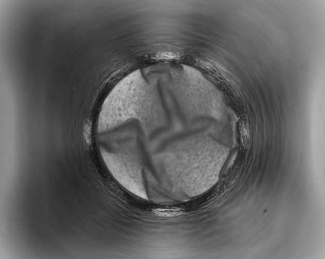 X0000095530556200801111415