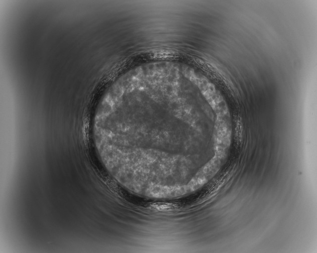 X0000095530557200801111415