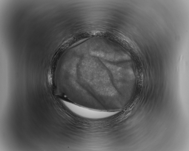 X0000095530558200801111415