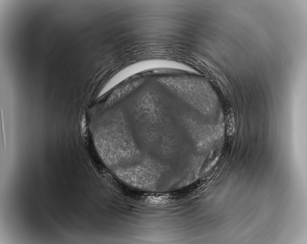 X0000095530560200801111415