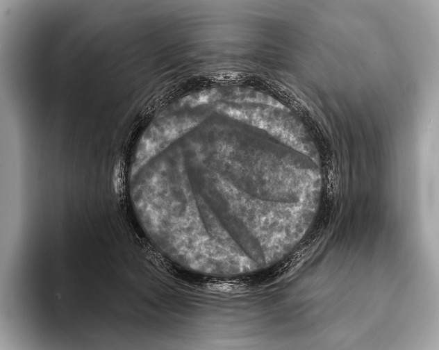 X0000095530561200801111415