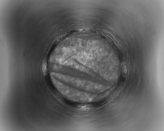 X0000095530564200801111415