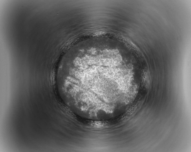 X0000095530565200801111415