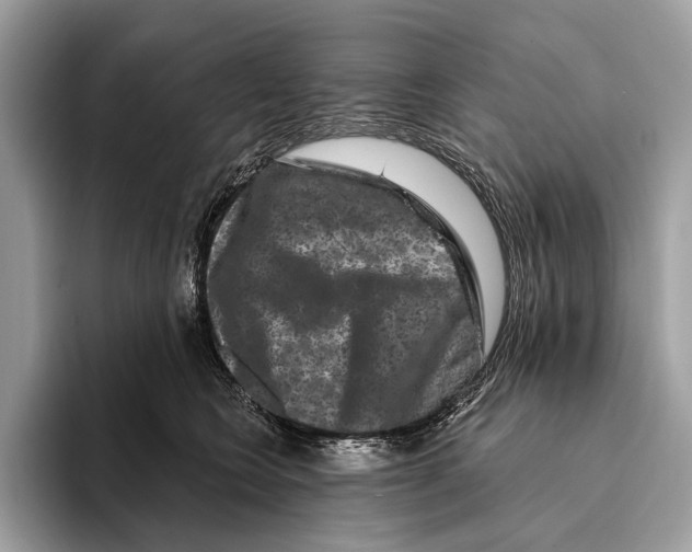 X0000095530566200801111415