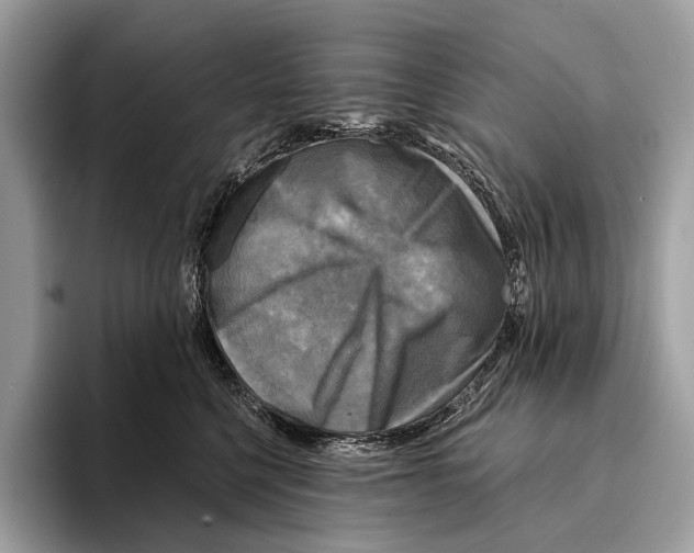 X0000095530568200801111415