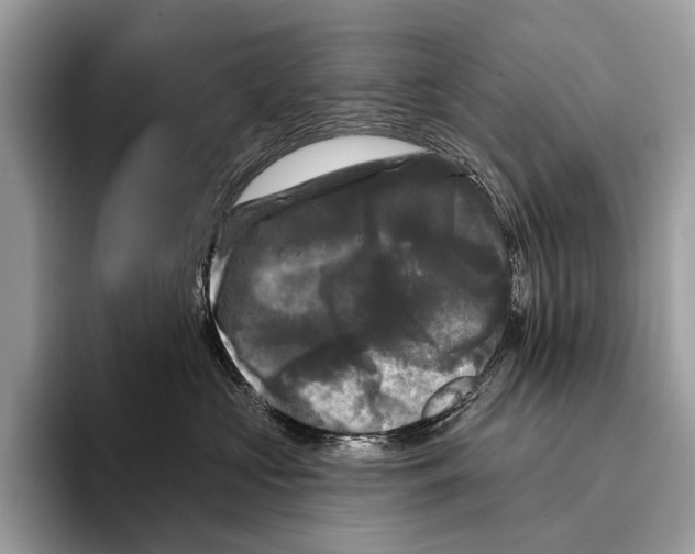 X0000095530573200801111415