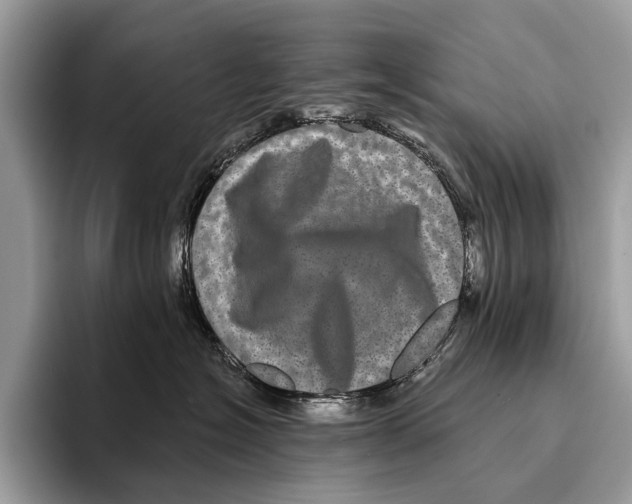 X0000095530574200801111415