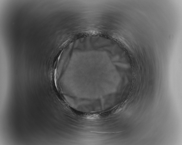 X0000095530576200801111415