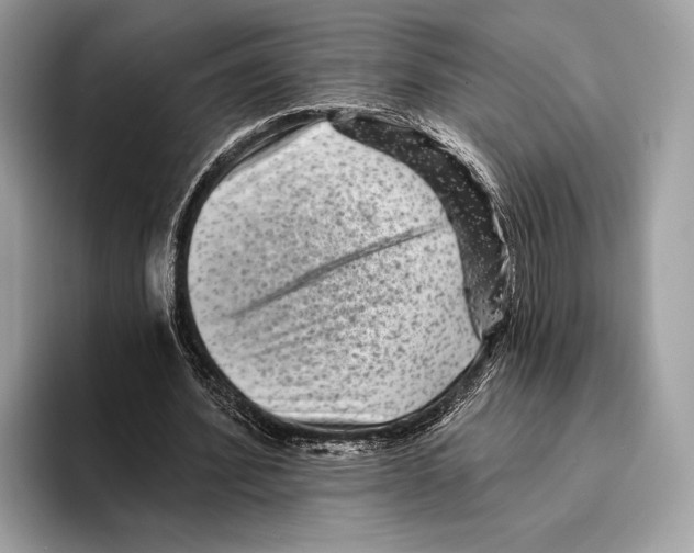 X0000095530580200801111415