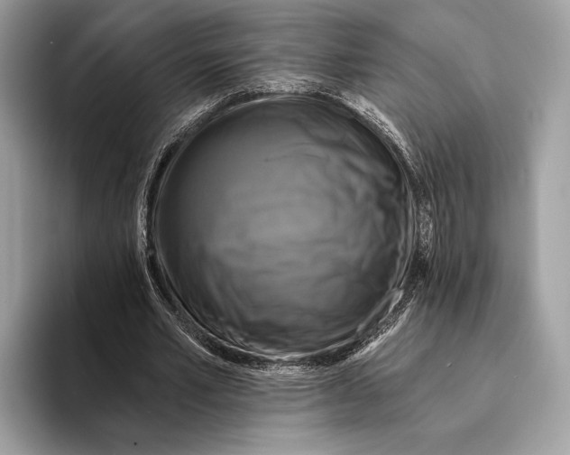 X0000095530581200801111415