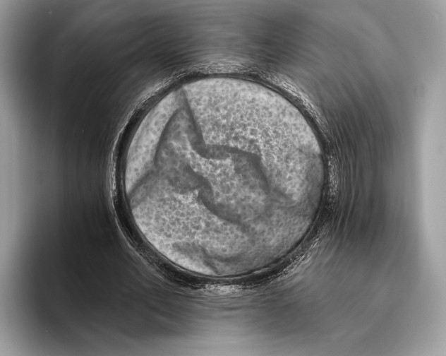 X0000095530582200801111415