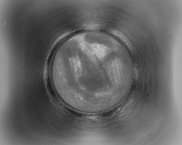 X0000095530583200801111415