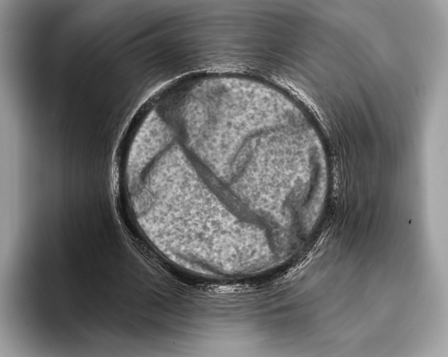 X0000095530584200801111415