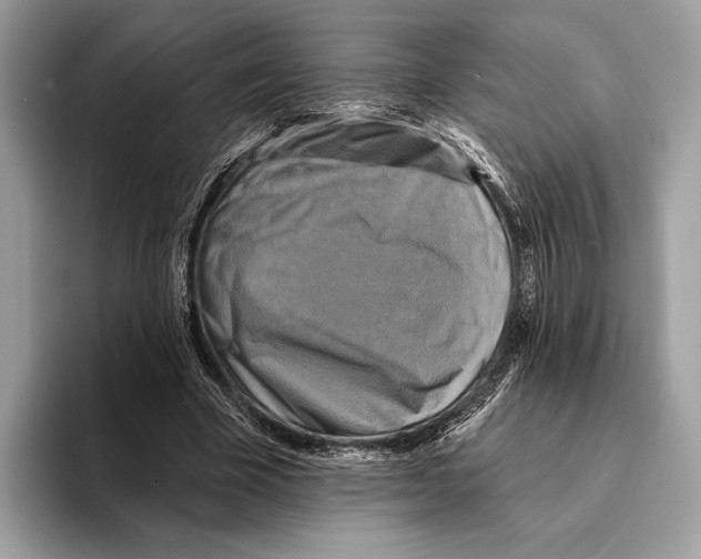 X0000095530585200801111415