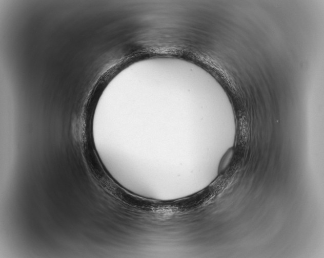 X0000095530587200801111415