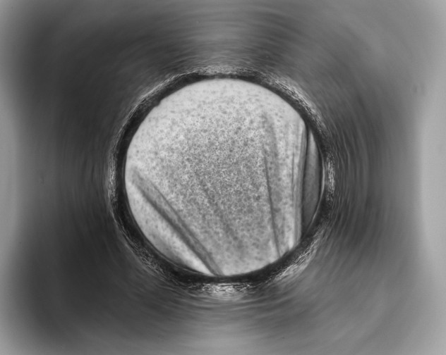 X0000095530588200801111415