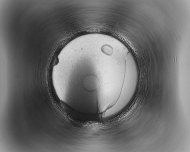 X0000095530589200801111415