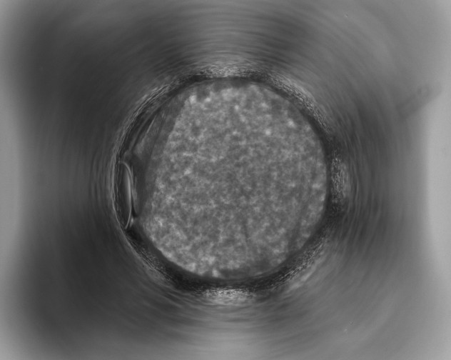 X0000095530590200801111415