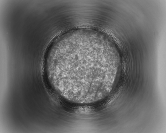 X0000095530591200801111415