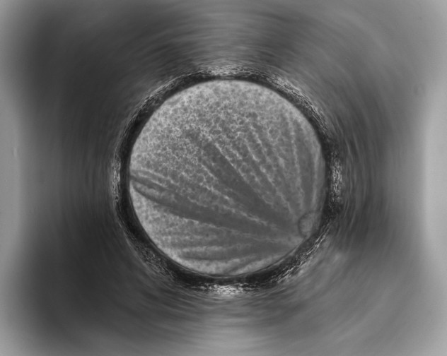 X0000095530592200801111415