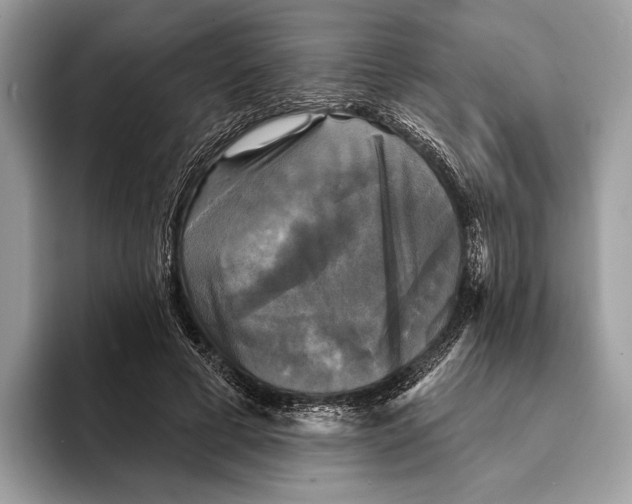 X0000095530593200801111415