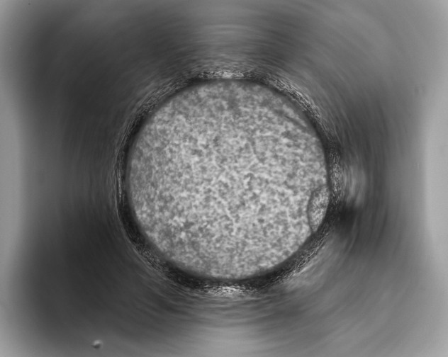 X0000095530594200801111415