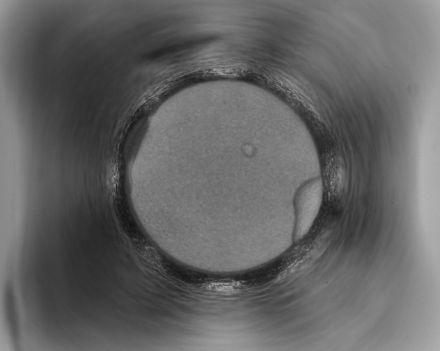 X0000095530595200801111415