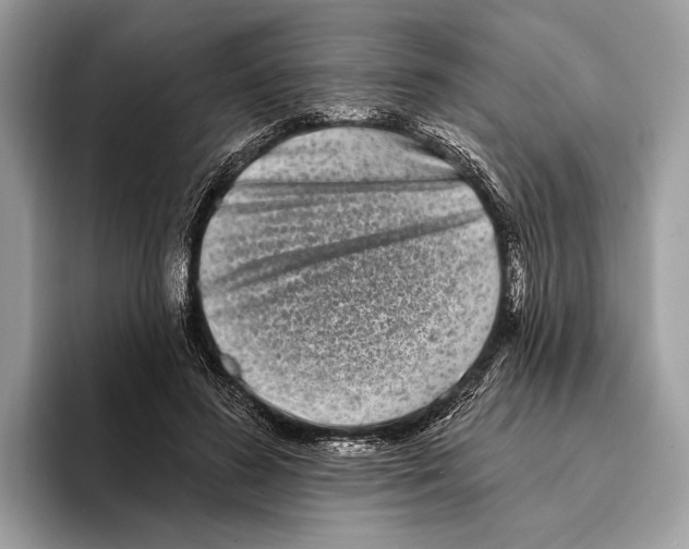 X0000095530596200801111415