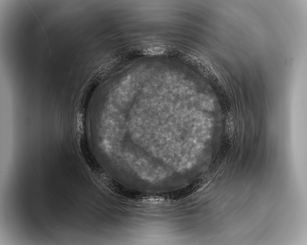 X0000095530598200801111415