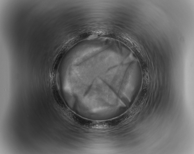 X0000095530601200801111414