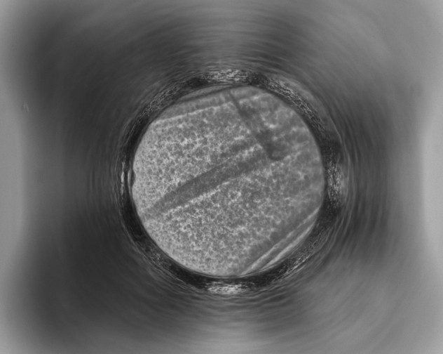 X0000095530602200801111414