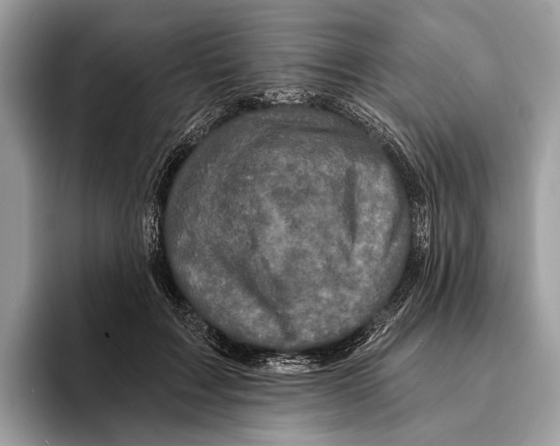 X0000095530603200801111414