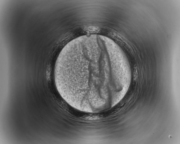 X0000095530604200801111414