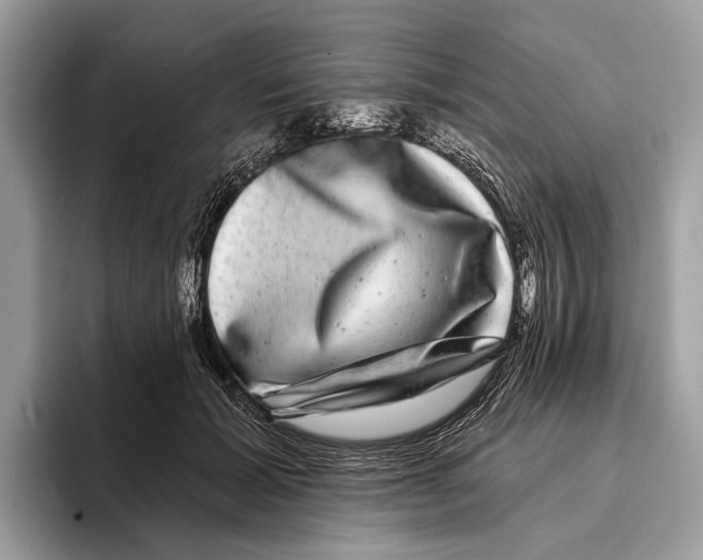 X0000095530605200801111414