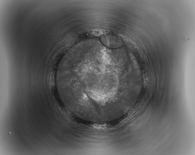 X0000095530606200801111414