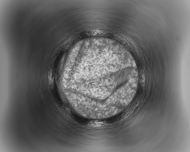 X0000095530607200801111414