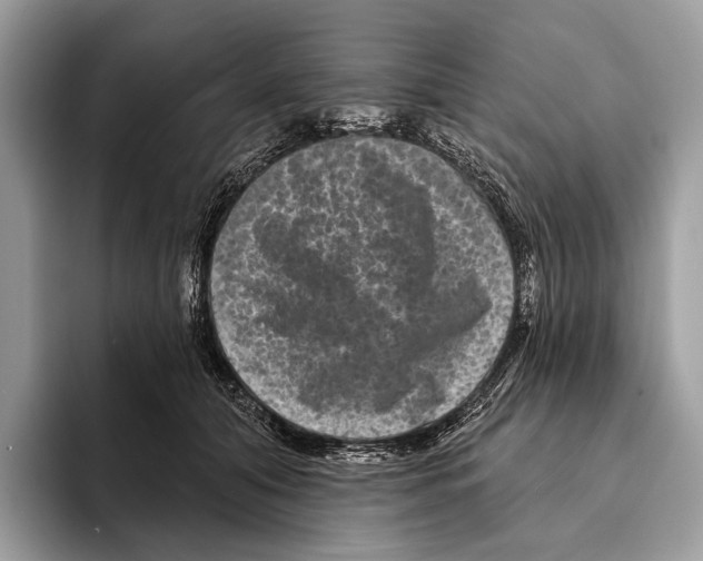 X0000095530608200801111414