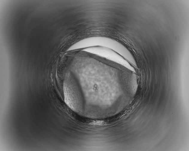 X0000095530609200801111414