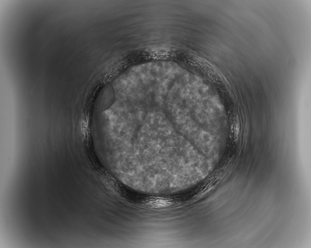 X0000095530610200801111414