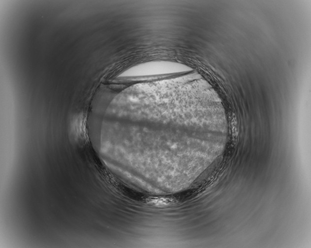 X0000095530611200801111414