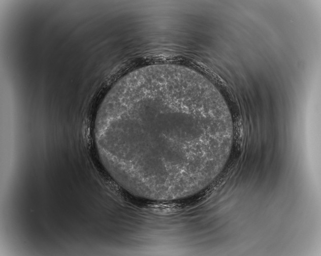 X0000095530615200801111414