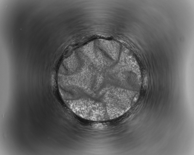 X0000095530616200801111414