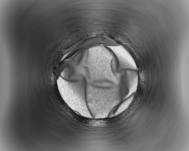 X0000095530617200801111414