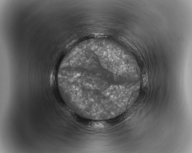 X0000095530618200801111414