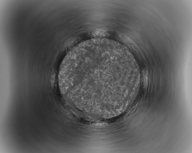 X0000095530619200801111414