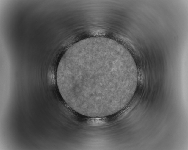 X0000095530622200801111414