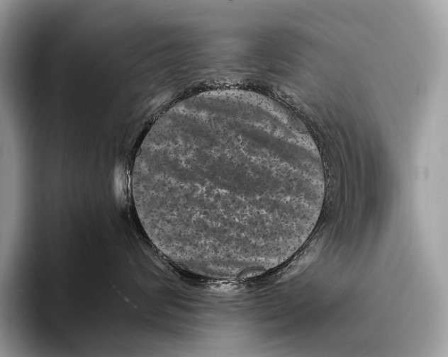 X0000095530624200801111414